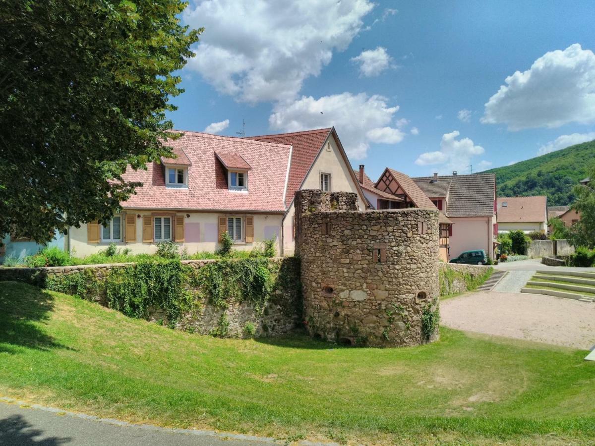 La Grande Terrine - Gites Les Potiers Kaysersberg-Vignoble Kültér fotó