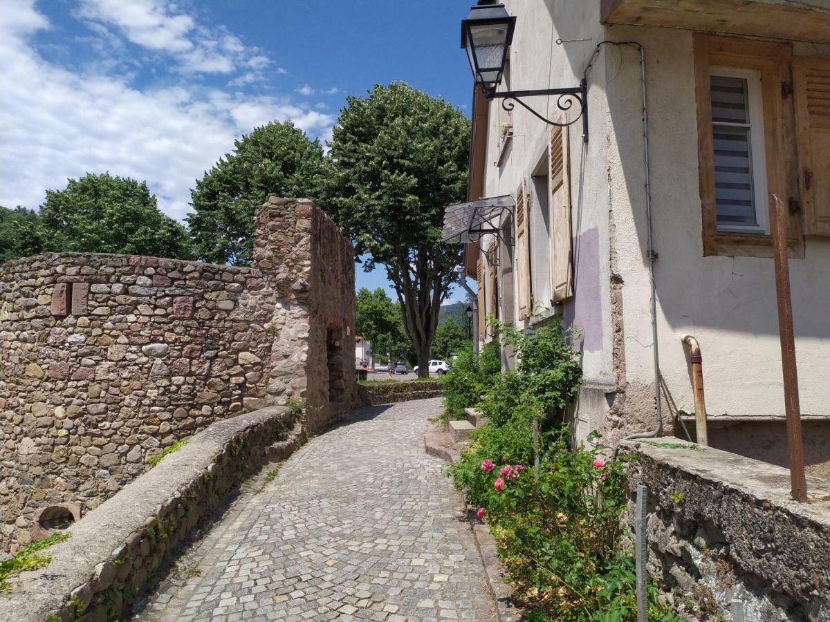 La Grande Terrine - Gites Les Potiers Kaysersberg-Vignoble Kültér fotó