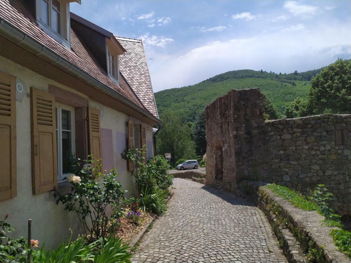 La Grande Terrine - Gites Les Potiers Kaysersberg-Vignoble Kültér fotó