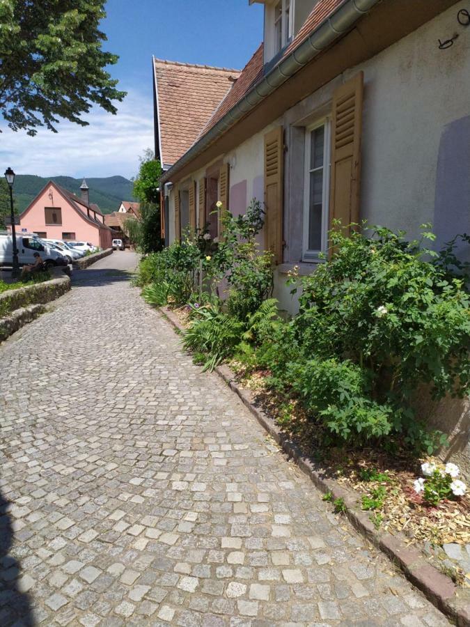 La Grande Terrine - Gites Les Potiers Kaysersberg-Vignoble Kültér fotó